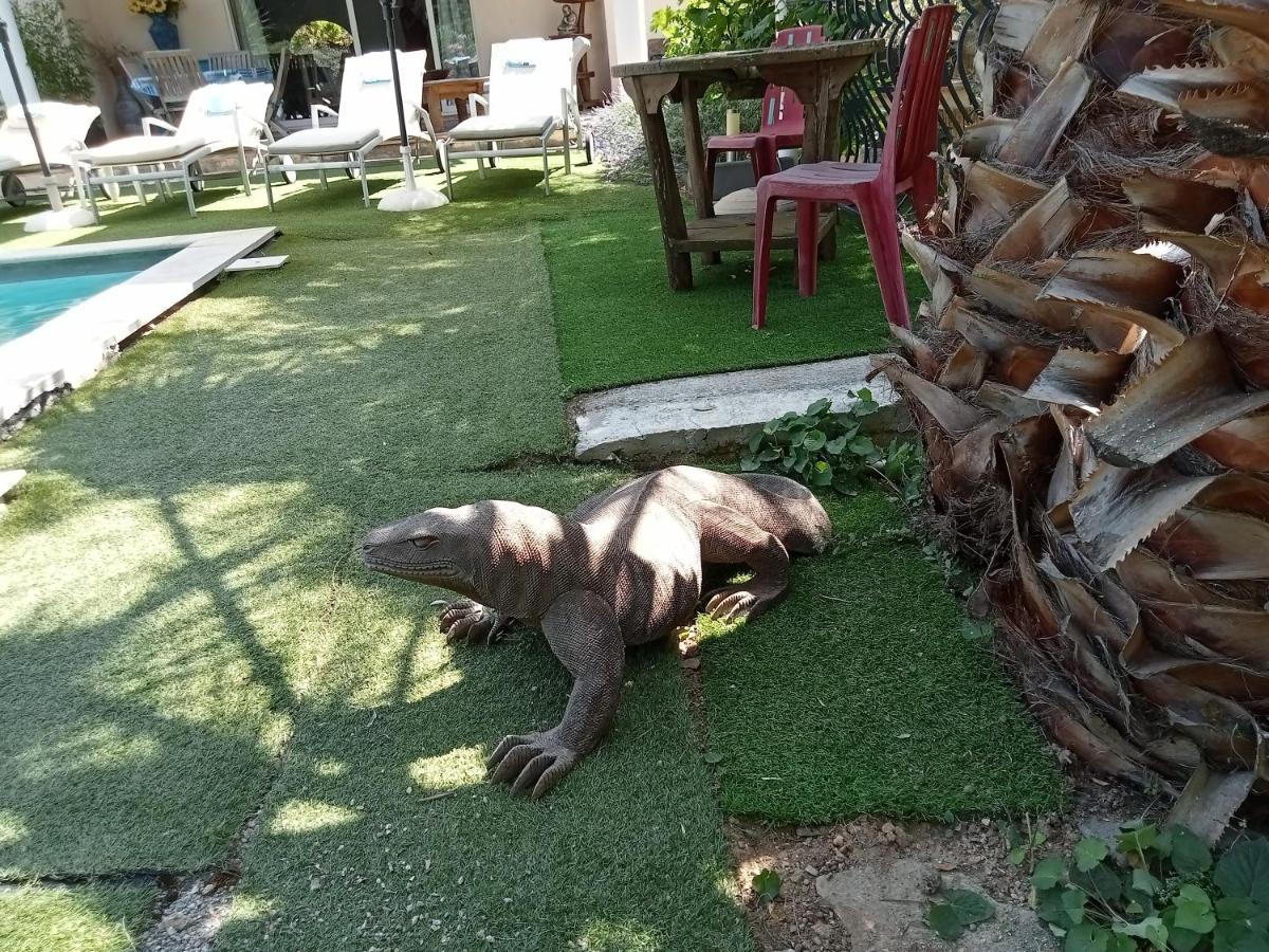 Villa La Croisette Σαιντ-Μαξίμ Εξωτερικό φωτογραφία